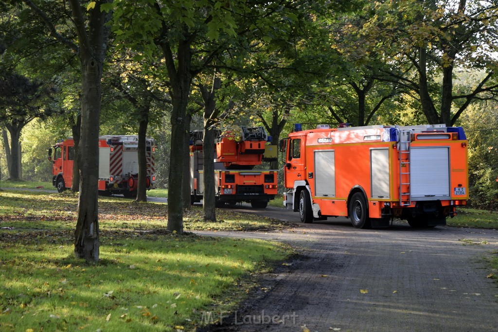 Feuer 1 brannten 3 Lauben Koeln Fuehlingen Kriegerhofstr P154.JPG - Miklos Laubert